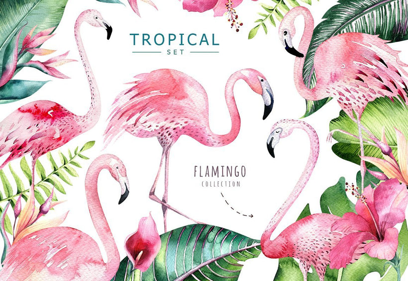 Creative design | Cliparts | Patterns | Vectors.. with Flamingo!
