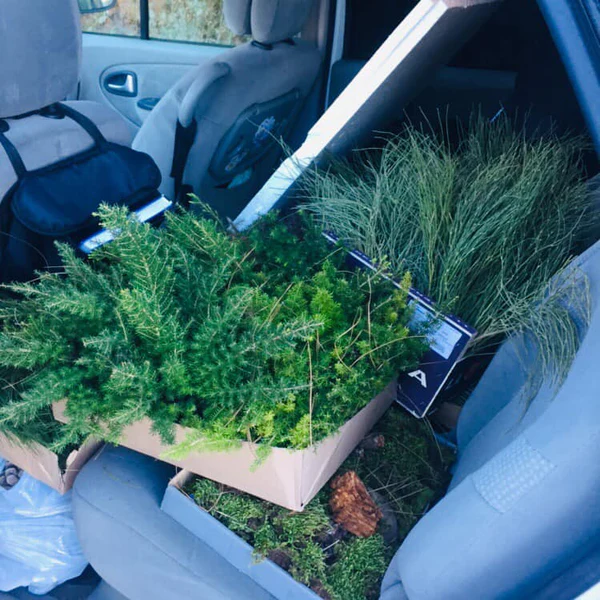 Christmas wreath is something very special that brings a Christmas mood to Your home.